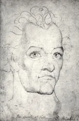 Tête de Voltaire